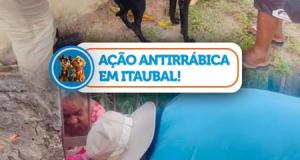 Ação Antirrábica em Itaubal!