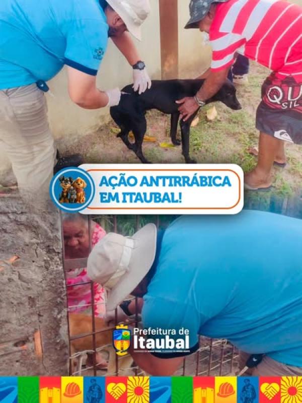 Ação Antirrábica em Itaubal!